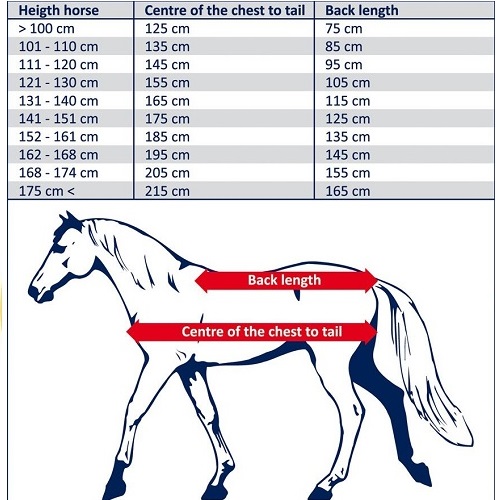 combinatie biologisch zitten Harrys Horse outdoor deken Thor 2Tone 200gr Dark Shadow -30% Maat 175 -  RuitersportWinkel.eu