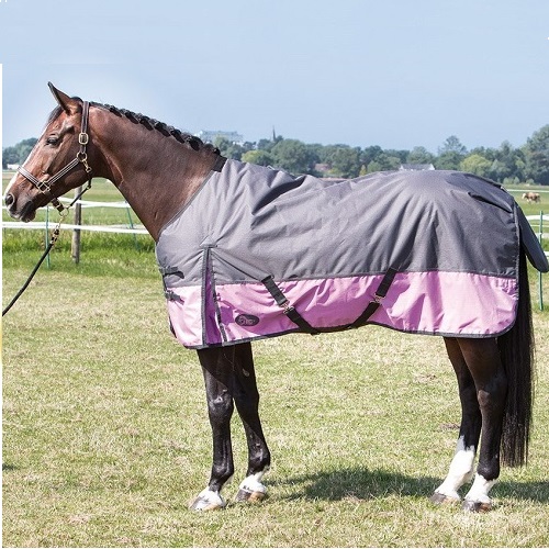 combinatie biologisch zitten Harrys Horse outdoor deken Thor 2Tone 200gr Dark Shadow -30% Maat 175 -  RuitersportWinkel.eu