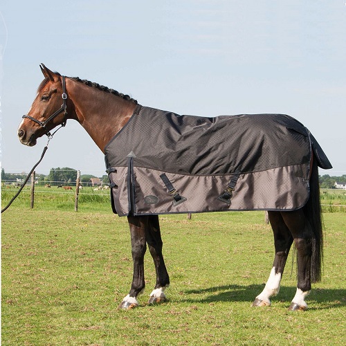 passie Doordringen Nieuwe aankomst Harrys Horse outdoor deken Xtreme 1200D Strech Limo 300g -20% Maat 175-185-195-205  - RuitersportWinkel.eu