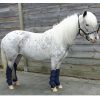 Transport beschermers shetlander-pony Diverse kleuren