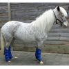 Transport beschermers mini en shetlander - Afbeelding 2