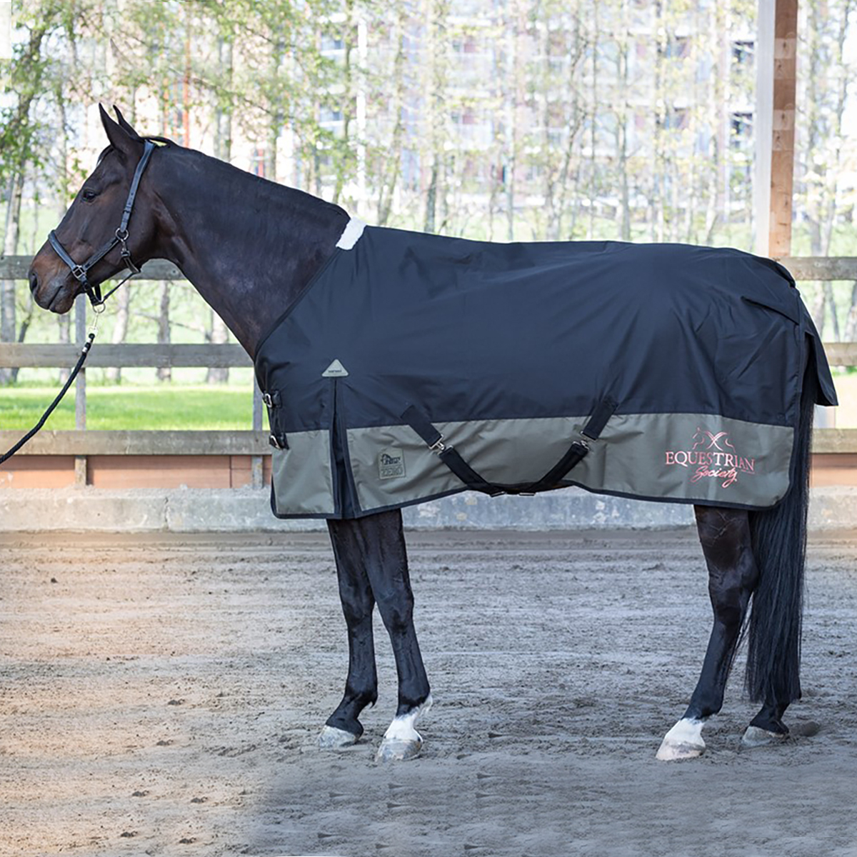 Harrys Horse outdoor deken Thor Jet Black fleece -25% Maat 175-185-195-205 - RuitersportWinkel.eu