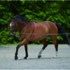 Logeerhulp Soft Waldhausen - Afbeelding 2