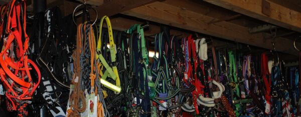 Opheffingsuitverkoop! Alle halsters en halstersets 50% korting - Afbeelding 9
